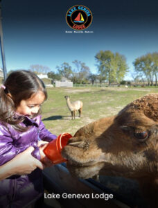 Animal Gardens Park: Family-Friendly Petting Zoo & Horse Show