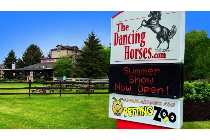 Animal Gardens Park: Family-Friendly Petting Zoo & Horse Show 