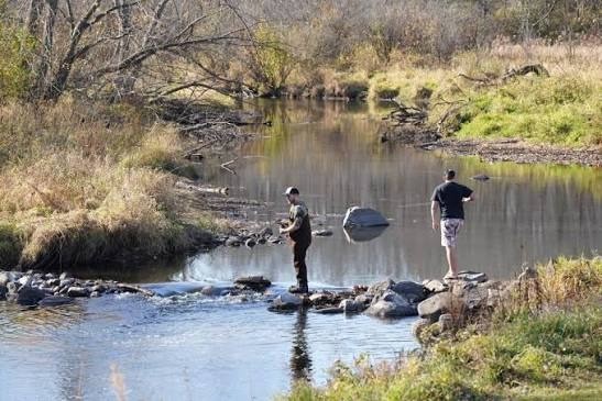 Lake Geneva Fishing: Guide to Top Spots & Expert Tips