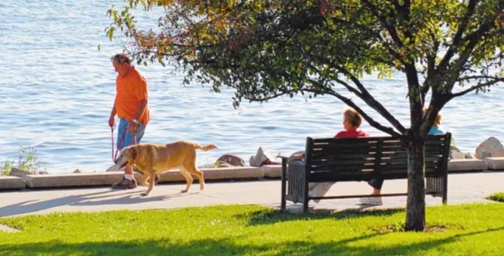 Summer Adventures with Your Dog in Lake Geneva, Wisconsin