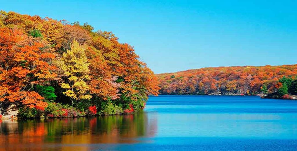 Fall Colors in Lake Geneva: Best Places, Activities, and When to Visit