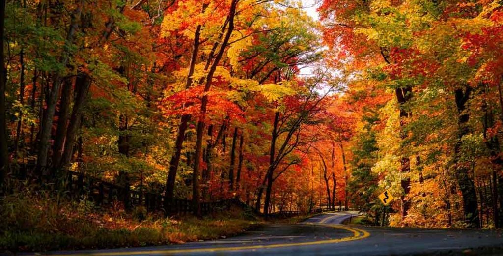 Fall Colors in Lake Geneva: Best Places, Activities, and When to Visit