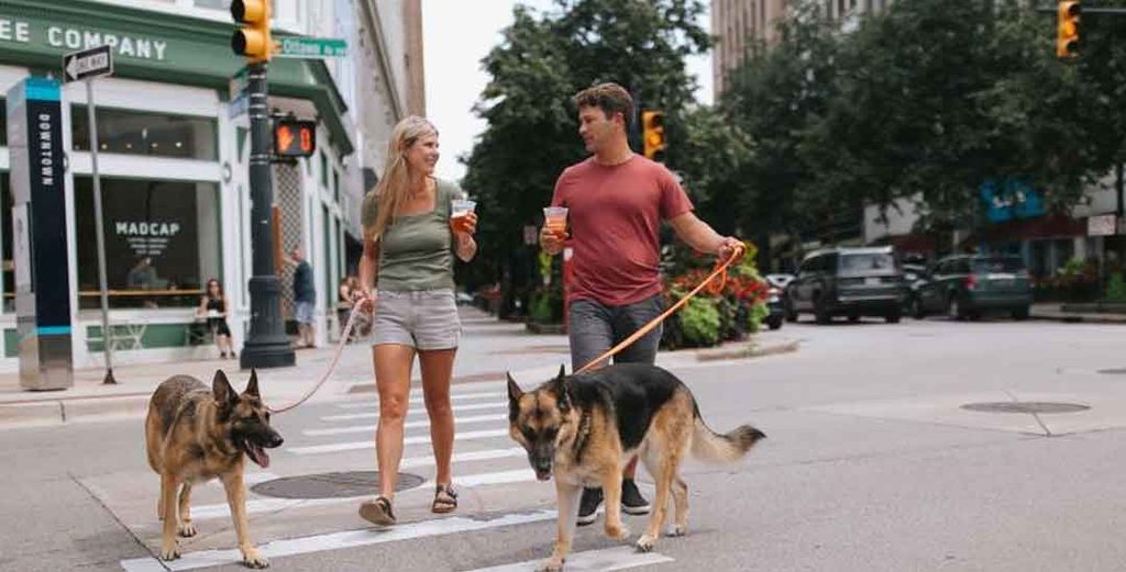 Summer Adventures with Your Dog in Lake Geneva, Wisconsin