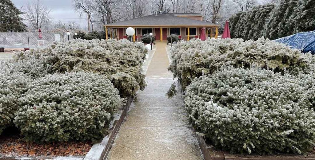 Santa Sightings in Lake Geneva: A 2026 Christmas Guide for Families